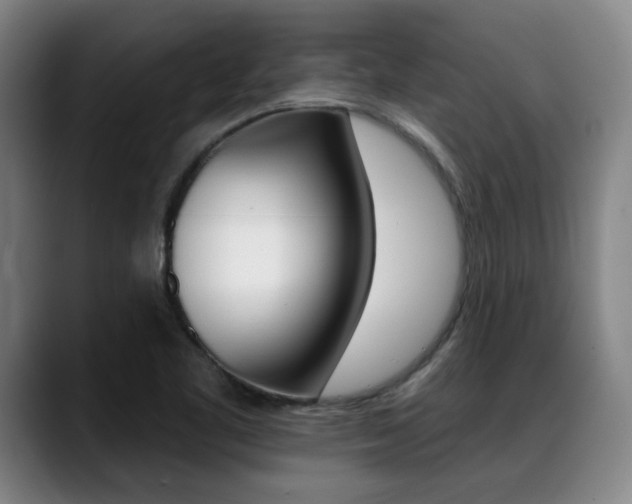 X0000089381461200706150901