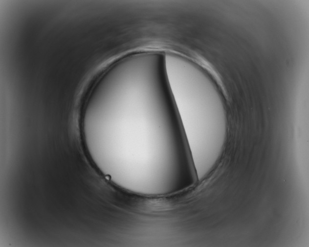 X0000089381464200706150901