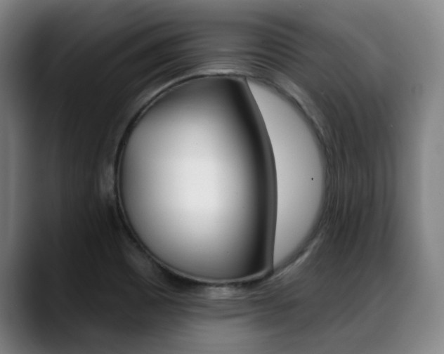 X0000089381465200706150901