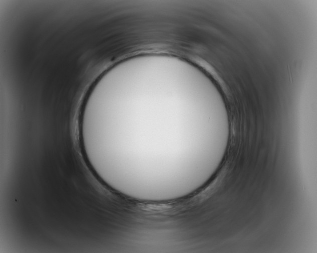 X0000089381466200706150901