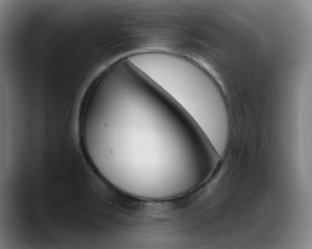 X0000089381469200706150901