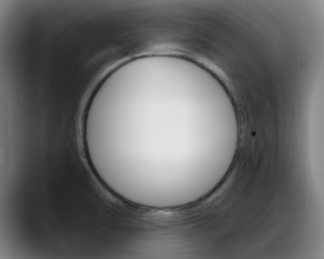 X0000089381470200706150901
