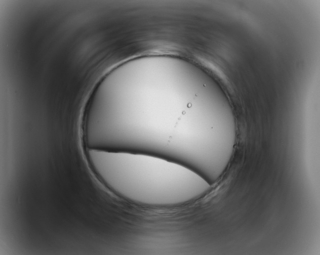X0000089381471200706150901