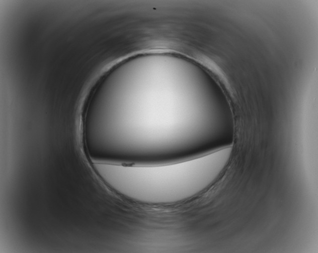 X0000089381472200706150901
