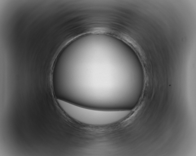 X0000089381473200706150901