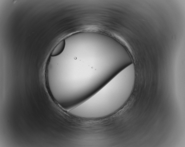 X0000089381475200706150901