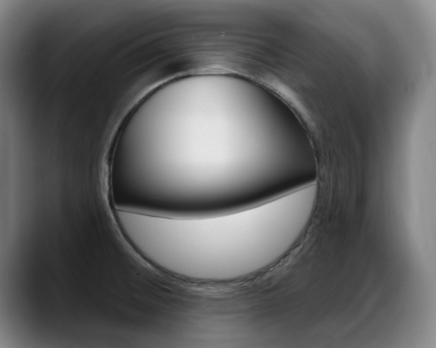 X0000089381476200706150901