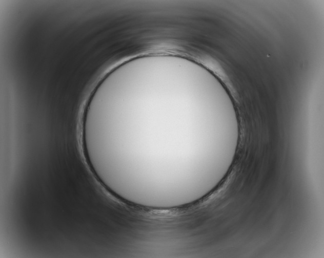 X0000089381478200706150901