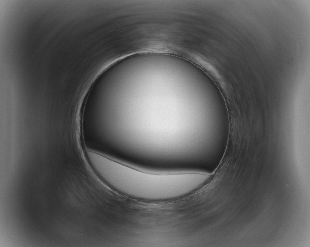 X0000089381479200706150901