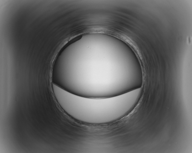 X0000089381481200706150901