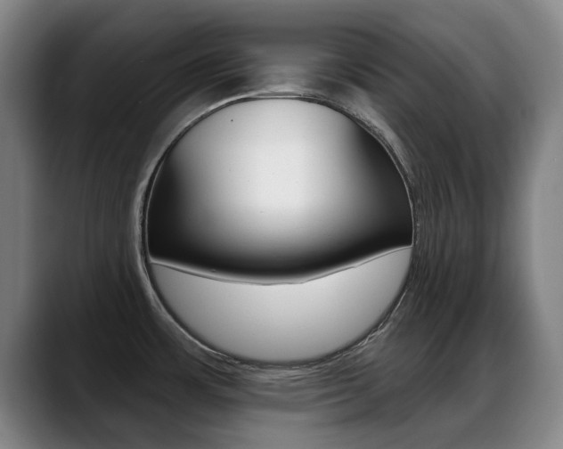 X0000089381483200706150901