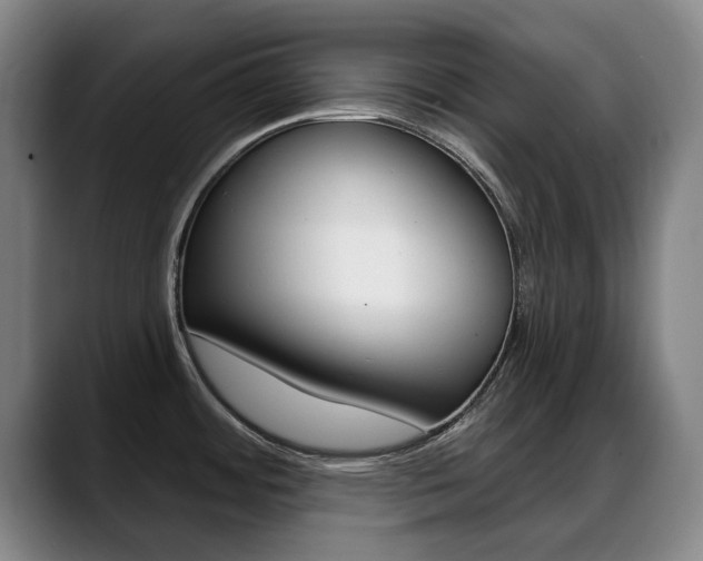 X0000089381484200706150901
