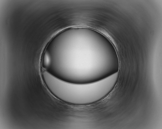 X0000089381485200706150901