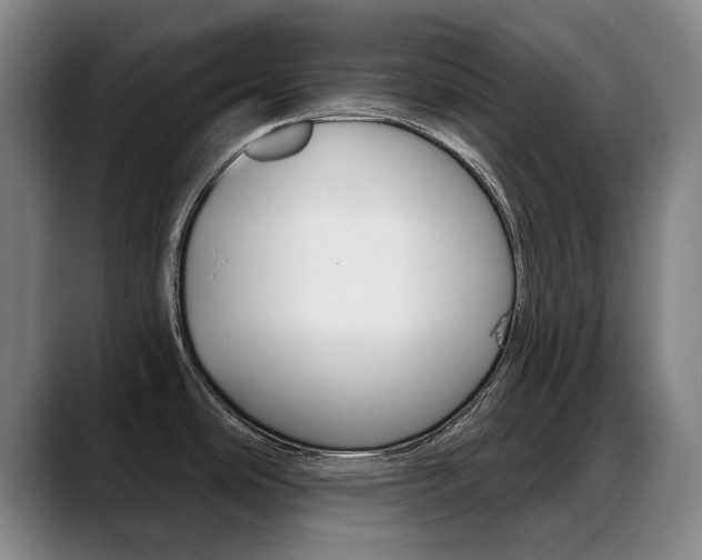 X0000089381486200706150901