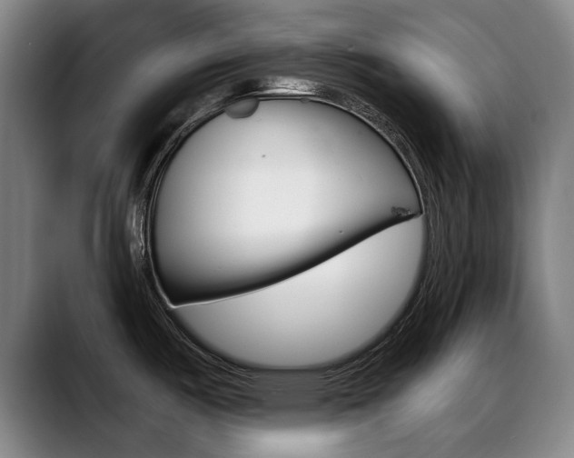 X0000089381487200706150901