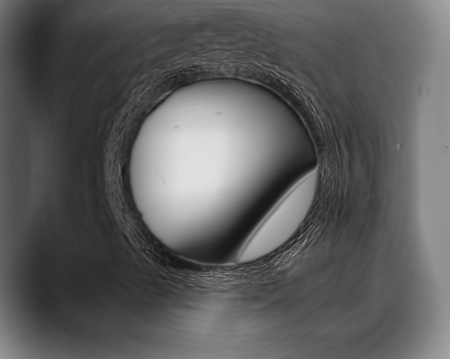 X0000089381489200706150900