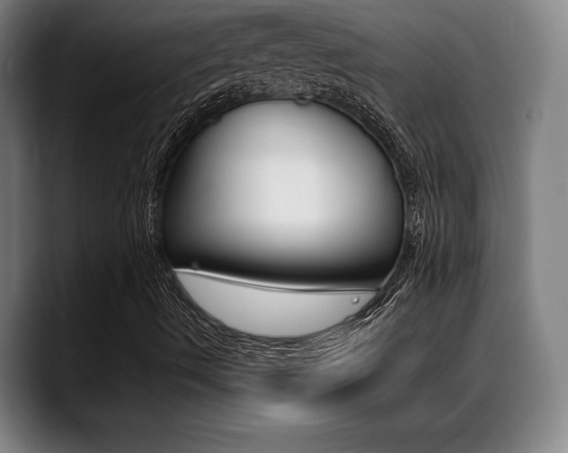 X0000089381490200706150900