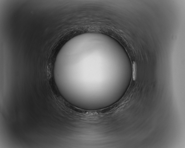X0000089381491200706150900