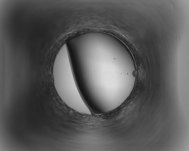 X0000089381494200706150900