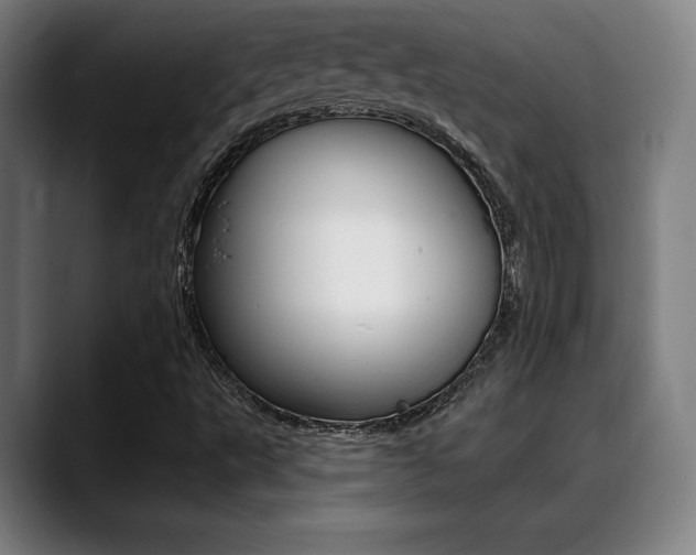 X0000089381495200706150900