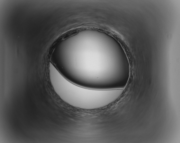 X0000089381496200706150900