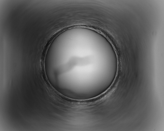 X0000089381497200706150900