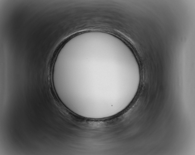 X0000089381498200706150900