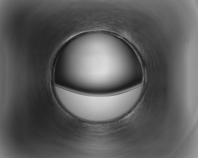 X0000089381500200706150900