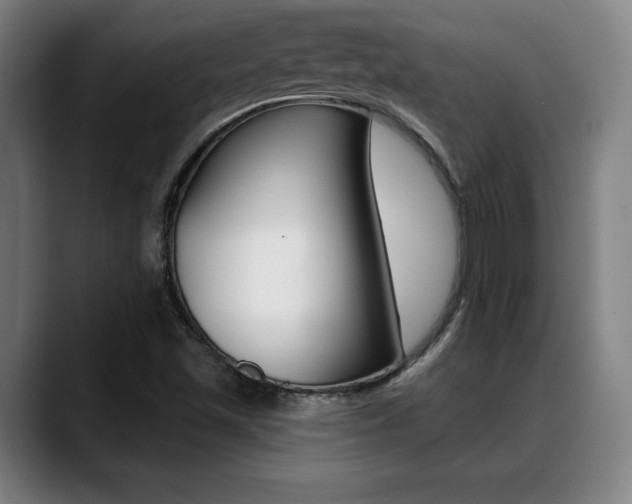 X0000089381501200706150900