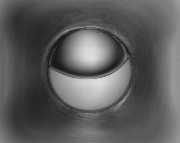 X0000089381502200706150900
