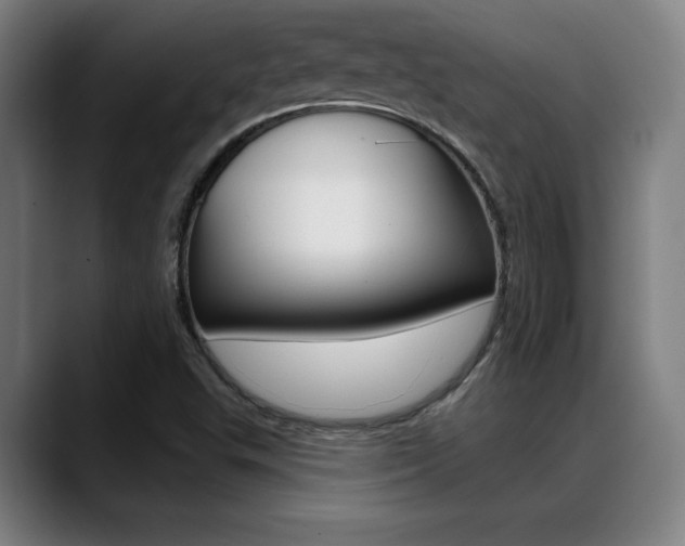 X0000089381503200706150900