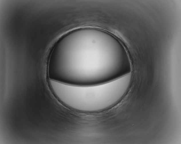 X0000089381504200706150900