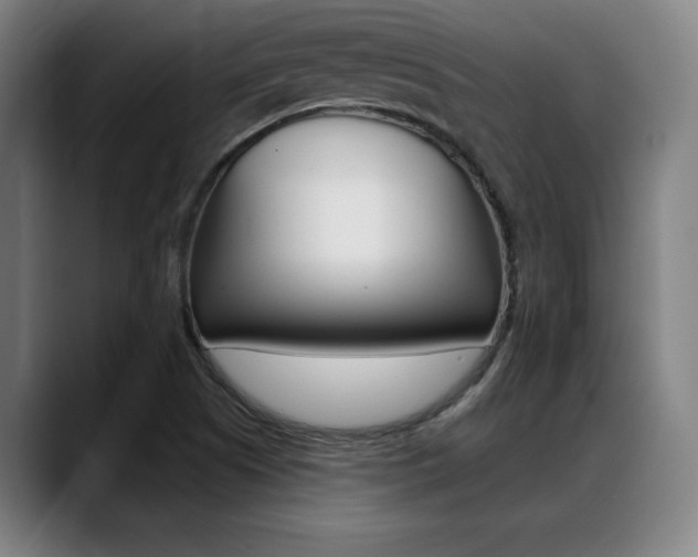 X0000089381505200706150900