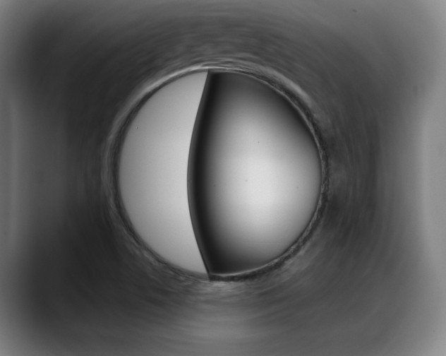 X0000089381506200706150900