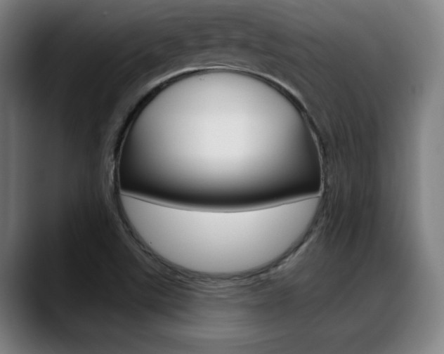 X0000089381507200706150900