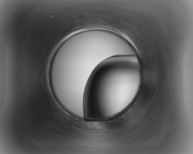 X0000089381508200706150900