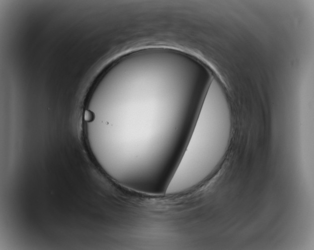 X0000089381511200706150901