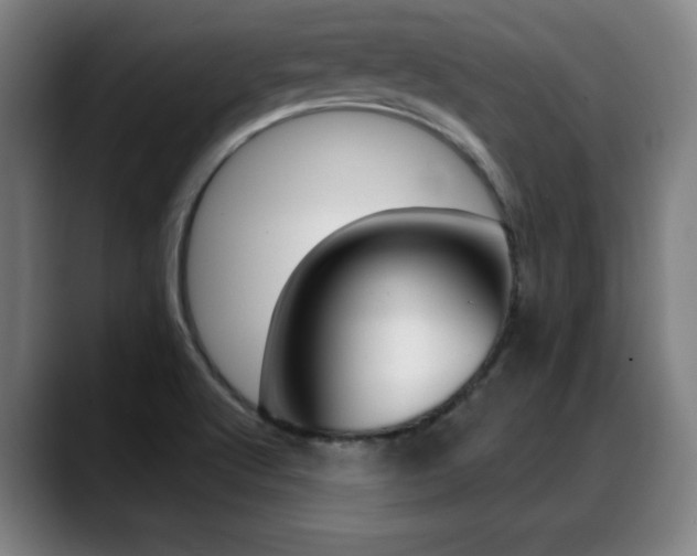 X0000089381512200706150901