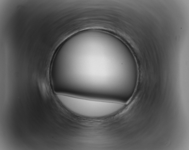 X0000089381513200706150901