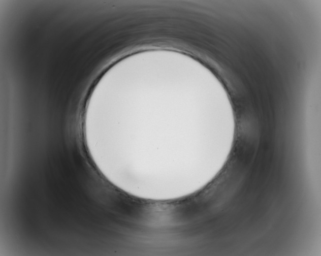 X0000089381514200706150901