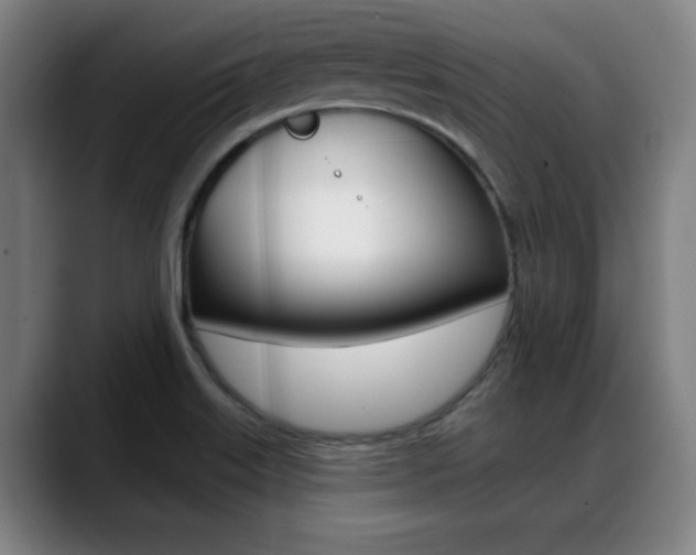X0000089381515200706150901