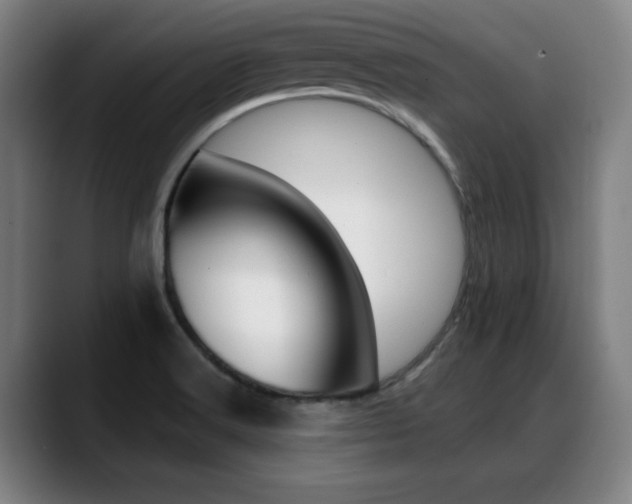X0000089381516200706150901