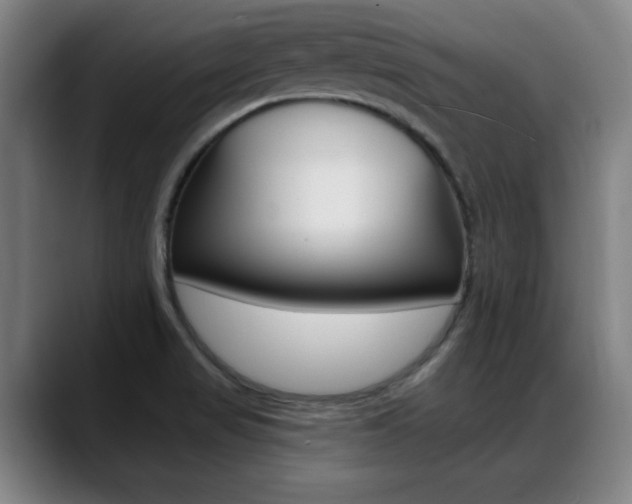 X0000089381517200706150901