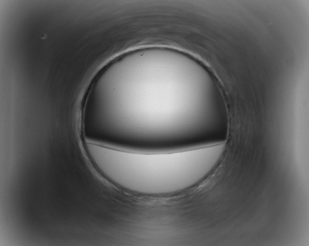 X0000089381519200706150901