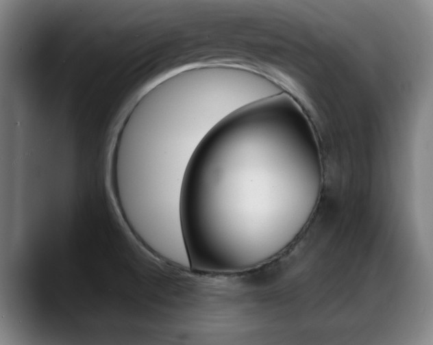 X0000089381520200706150901
