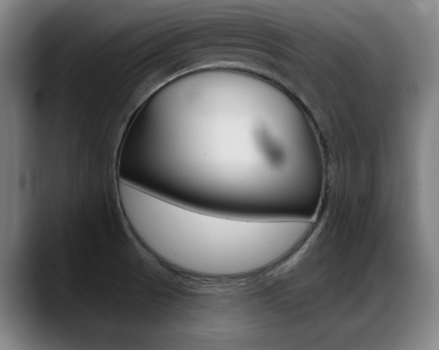 X0000089381521200706150901