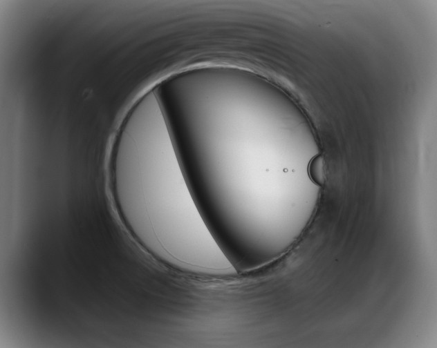 X0000089381522200706150901