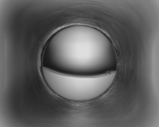 X0000089381523200706150901