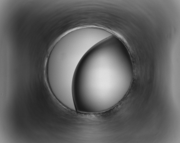 X0000089381524200706150901