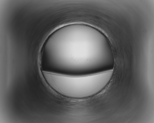 X0000089381526200706150901